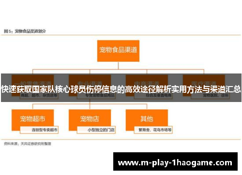 快速获取国家队核心球员伤停信息的高效途径解析实用方法与渠道汇总 快速获取国家队核心球员伤停信息的高效途径解析实用方法与渠道汇总