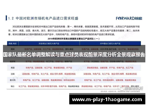 国家队最新名单调整解读与重点球员表现前景深度分析全景观察报告